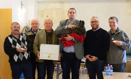 Kisállat kiállítás lesz játszóházzal hétvégén a Volán Sportcsarnokban